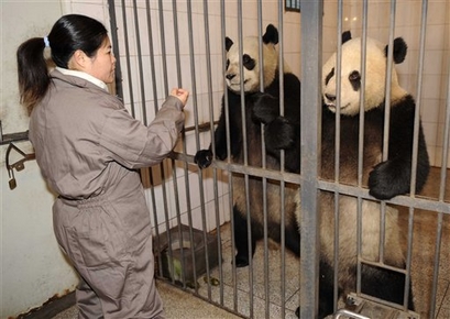 In this photo released by China's Xinhua News Agency, Taiwanese ...