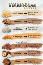 Mushrooms