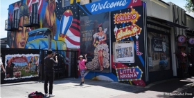 Wild chickens take over Miami while some embrace roosters as a cultural symbol