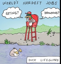 DUCK LIFEGUARD